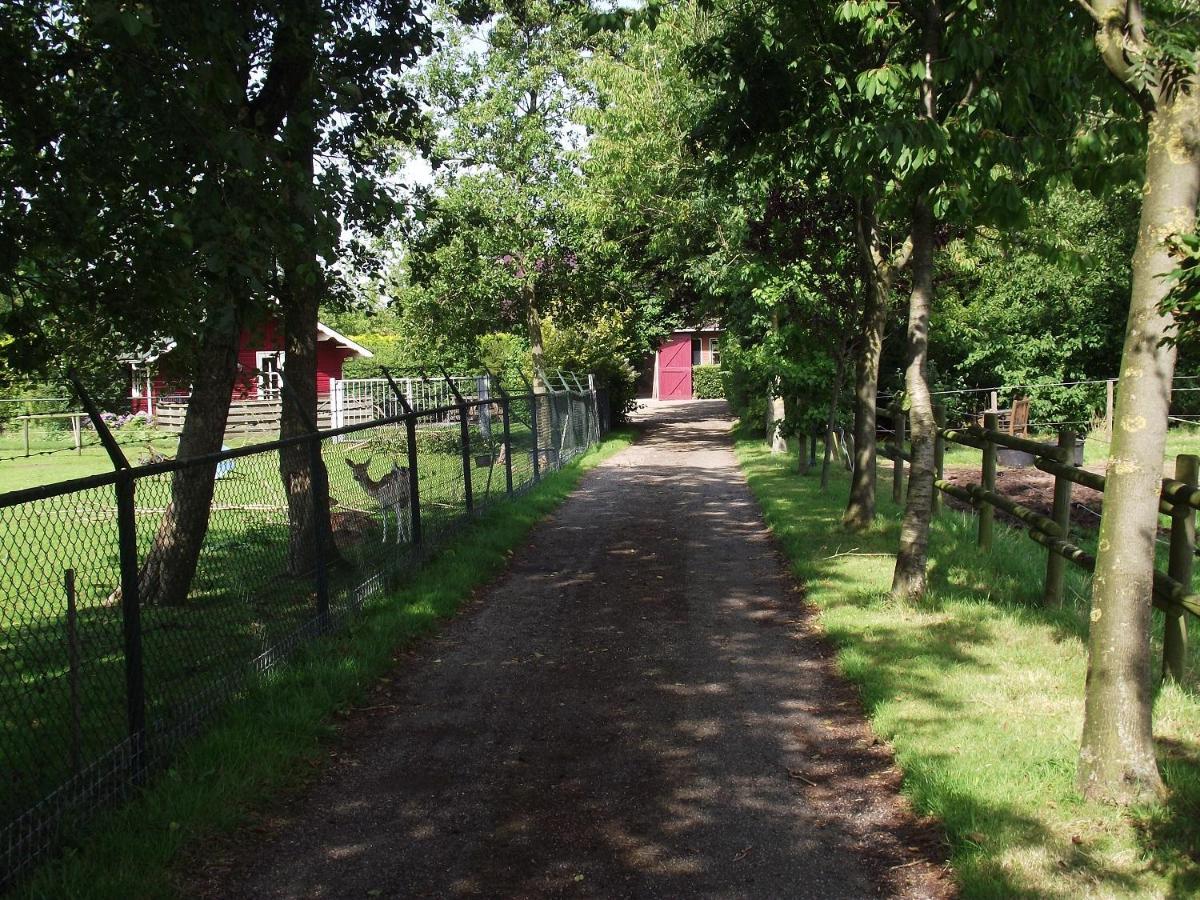 Vakantiehuisjes Landgoed Sonneborghe Kollumerzwaag Exterior foto