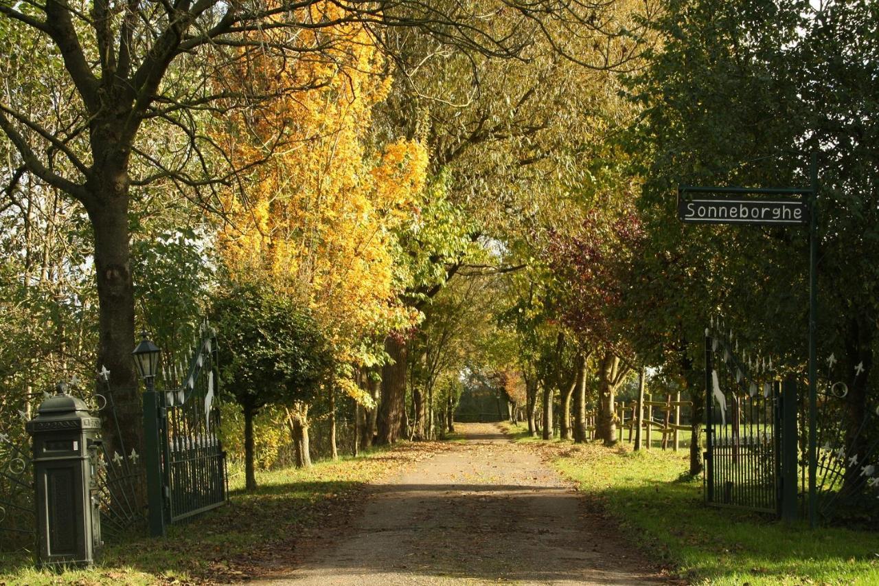 Vakantiehuisjes Landgoed Sonneborghe Kollumerzwaag Exterior foto