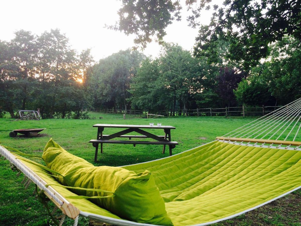 Vakantiehuisjes Landgoed Sonneborghe Kollumerzwaag Exterior foto